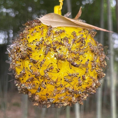 Piège à mouches - HangingFlyTrap™ - Jaune