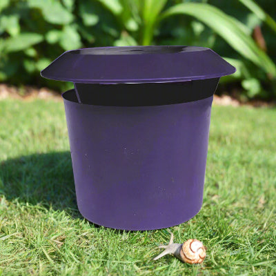 Piege a Limace - SnailTrap™ - Mauve