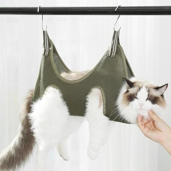 Toilettage Chat - GroomHamac™ - Vert