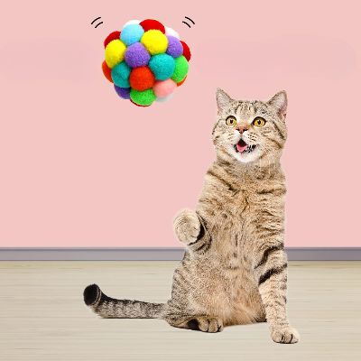 Balle pour Chat - JingleChase™ - Multicouleur