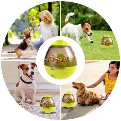 Distributeur de Croquettes pour Chien - FeedMaze™ - Vert