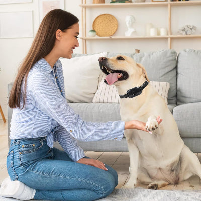 Collier Chien - BarkControl™ - Noir