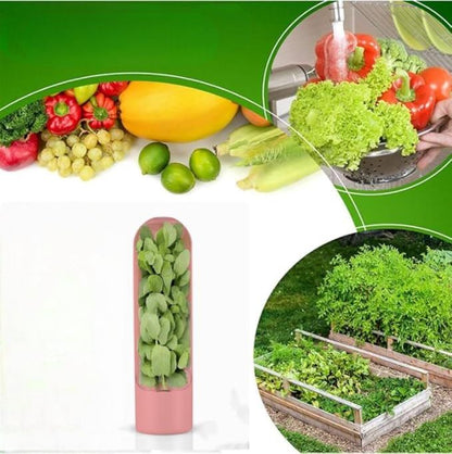 VeggieCrisp™ - Rose