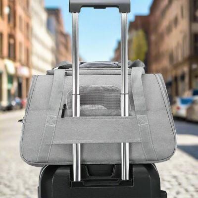 TravelPaws™ - Gris