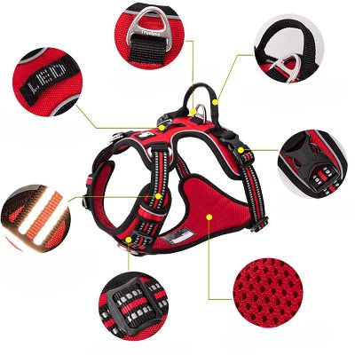 Harnais - PullFree™ - Rouge