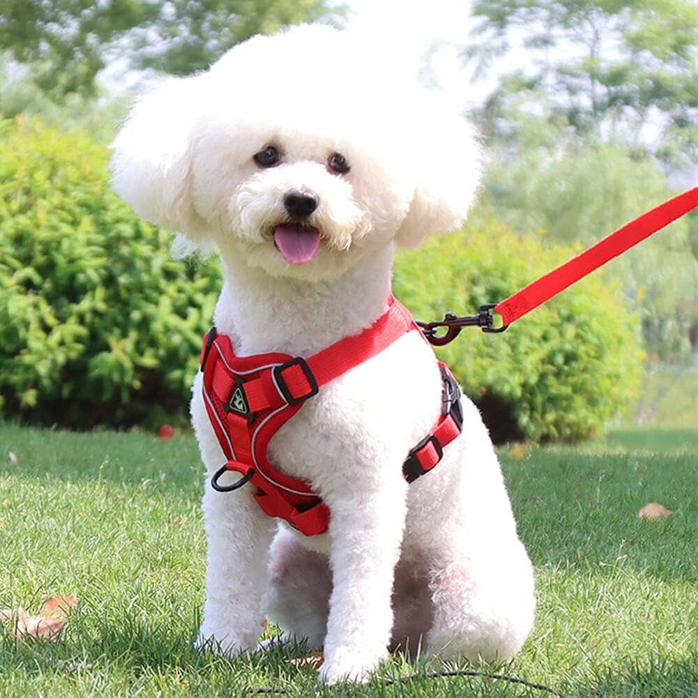 Harnais Petit Chien - DogHarnessVest™ - Rouge