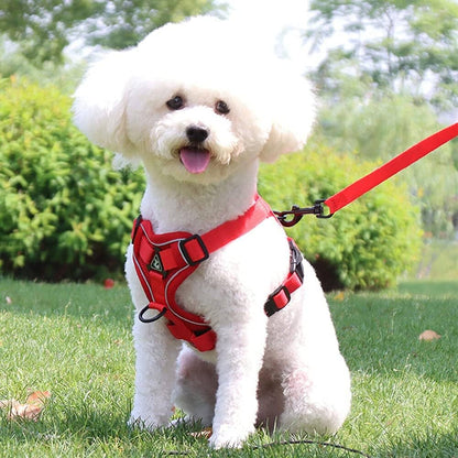 Harnais Petit Chien - DogHarnessVest™ - Rouge