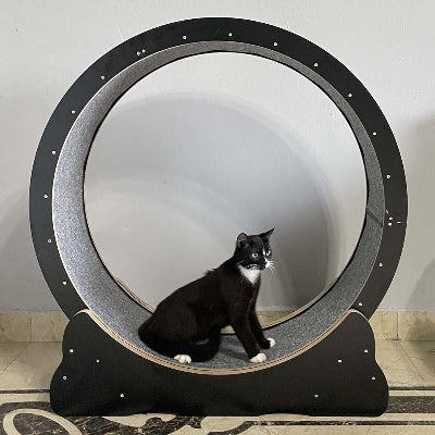 Roue Chat - KittyTread™ - Noir