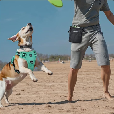 Harnais Chien - PullDogHarness™ - Vert Clair
