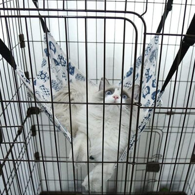 Hamac pour Chat - PetCradle™ - Blanc