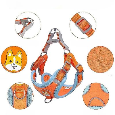 Harnais - PuppyTrek™ - Orange