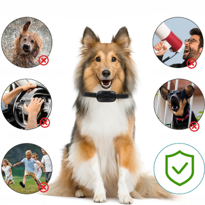 Collier Chien - BarkControl™ - Noir