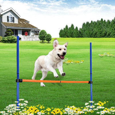 Agility Pour Chien - DogAgility™ - Bleu & Orange