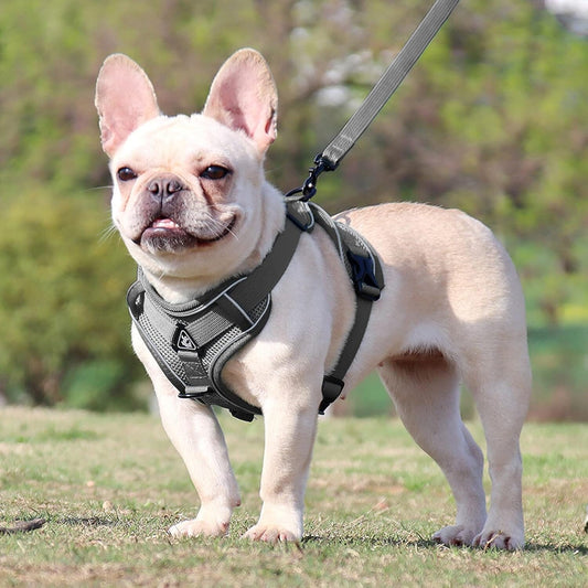 Harnais Petit Chien - DogHarnessVest™ - Gris