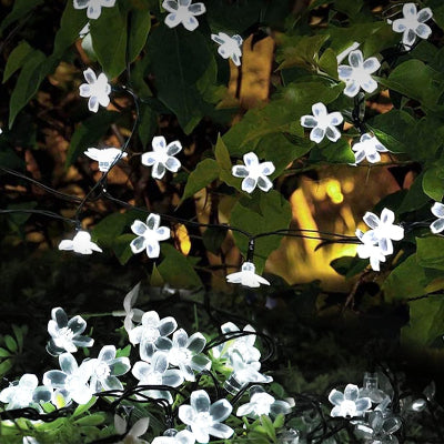 Guirlande Lumineuse - SolarBloom™ - Blanc