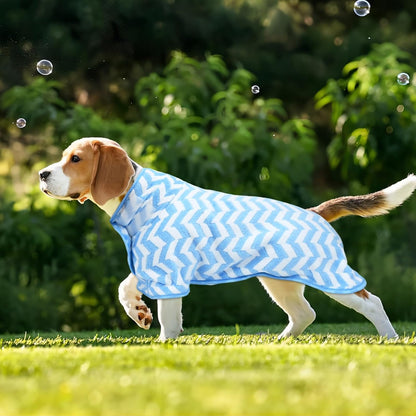 Peignoir pour Chien - PawDryRobe™ - Bleu