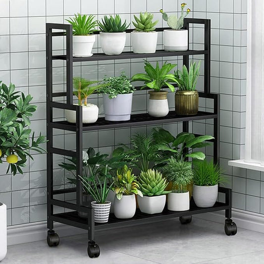 Flora3Steps™ - Noir