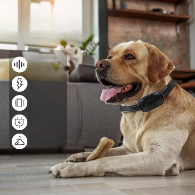 Collier Chien - BarkControl™ - Noir