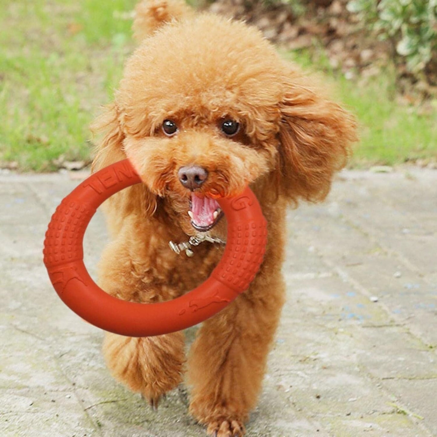 Jouets pour Chien - DogFlyingDisk™ - Orange