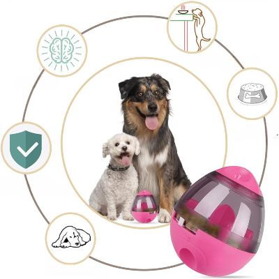 Distributeur de Croquettes pour Chien - FeedMaze™ - Rose