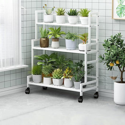 Flora3Steps™ - Blanc