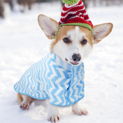 Peignoir pour Chien - PawDryRobe™ - Bleu