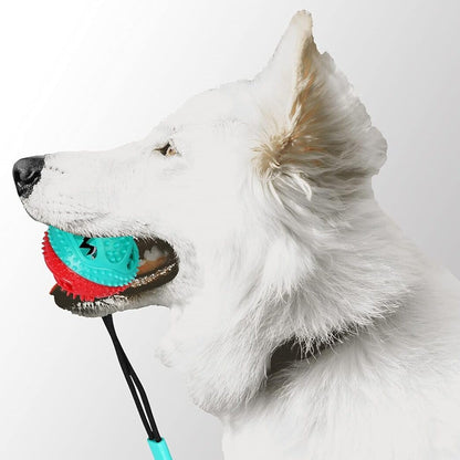 Jouet de Dentition - DogBallChewToy™ - Turquoise