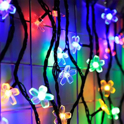 Guirlande Lumineuse - SolarBloom™ - Multicolore