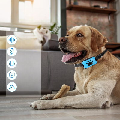 Collier Chien - BarkControl™ - Bleu
