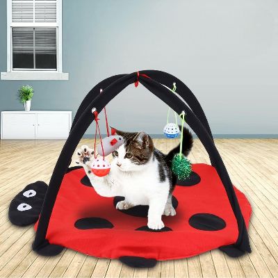 Tente Chat - CatTent™ - Coccinelle