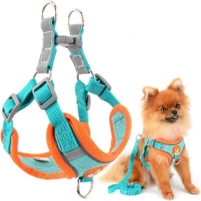 Harnais - PuppyTrek™ - Bleu