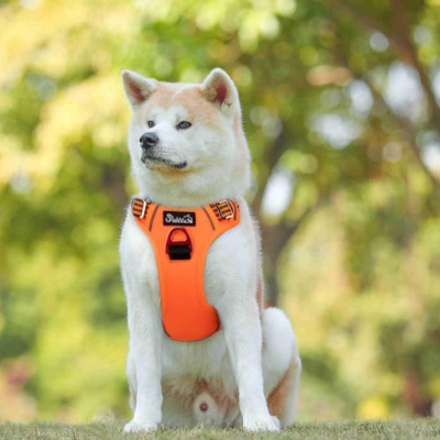 Harnais Chien - PullDogHarness™ - Orange