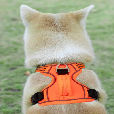 Harnais Chien - PullDogHarness™ - Orange