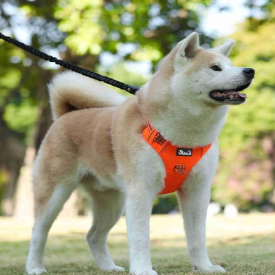 Harnais Chien - PullDogHarness™ - Orange