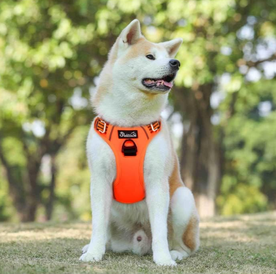 Harnais Chien - PullDogHarness™ - Orange