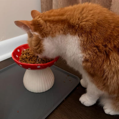 Gamelle pour Chat - CatShroom™ - Rouge