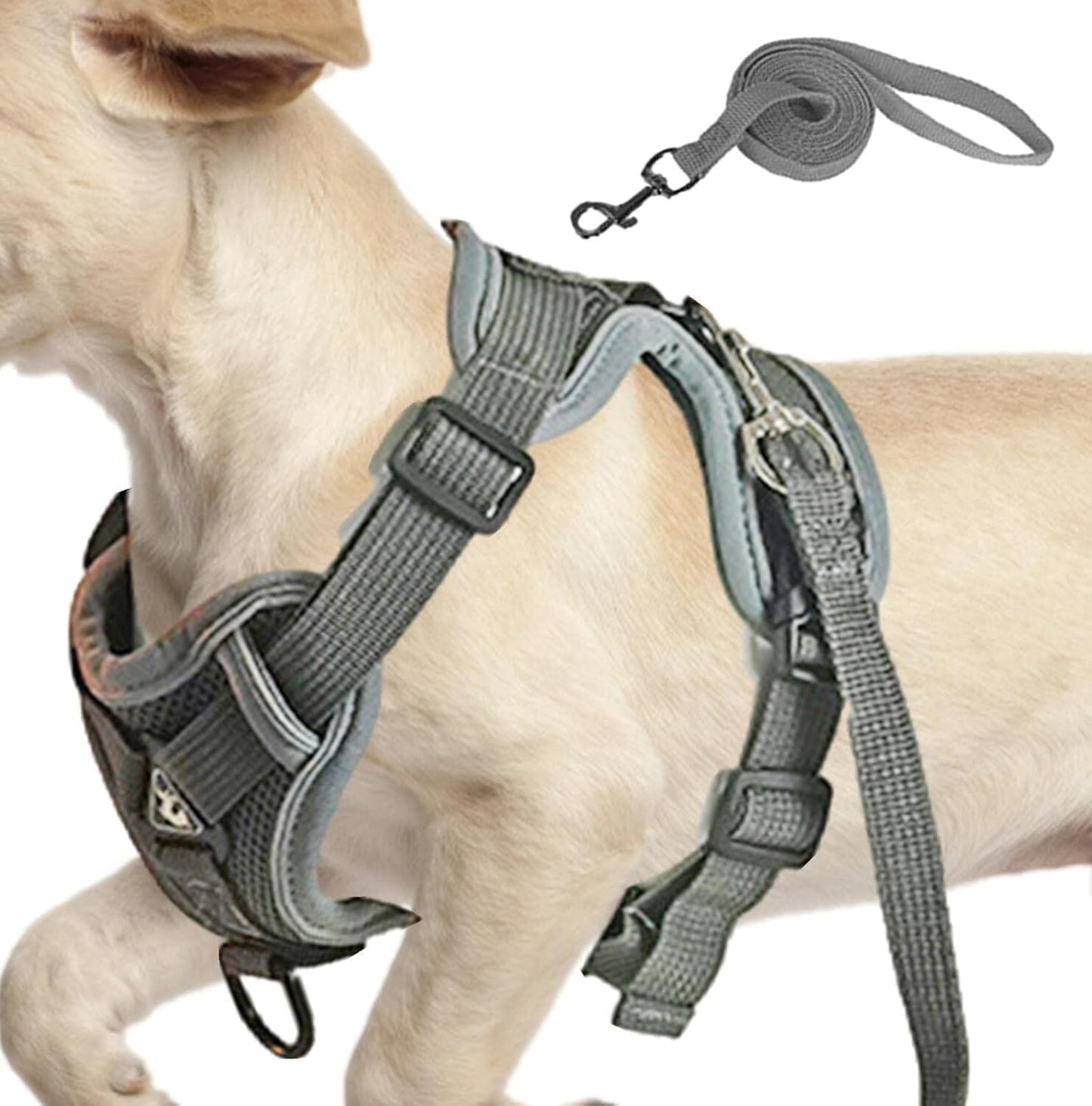 Harnais Petit Chien - DogHarnessVest™ - Gris