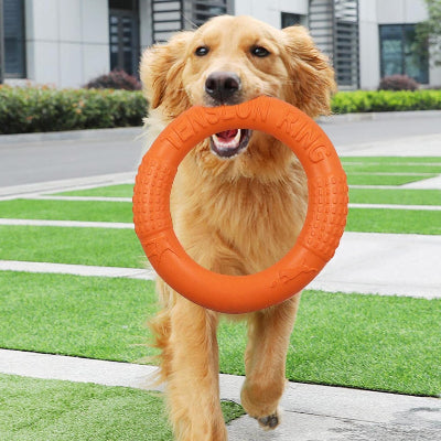 FRISBEE CHIEN - FetchBite™ - Orange