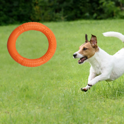 FRISBEE CHIEN - FetchBite™ - Orange