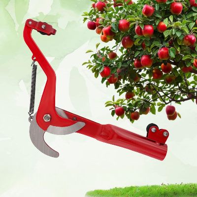 Coupe Branche Téléscopique - BranchCutter™ - Deux Roues Rouge