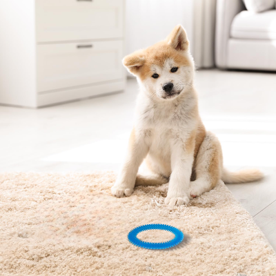 FRISBEE CHIEN - FetchBite™ - Bleu