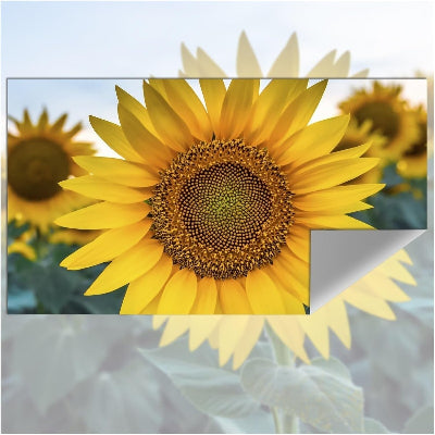 Ecran Projecteur - VisionScreen™ - Tissu