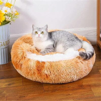 Lit pour Chat - FluffyDream™ - Camel