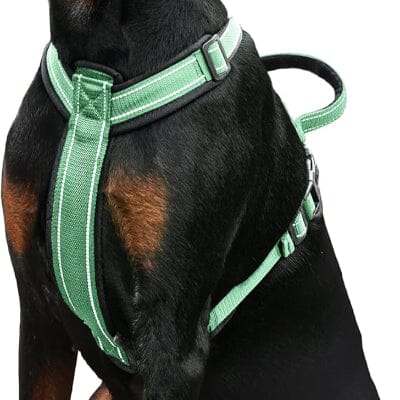 Harnais - SafePup™ - Vert