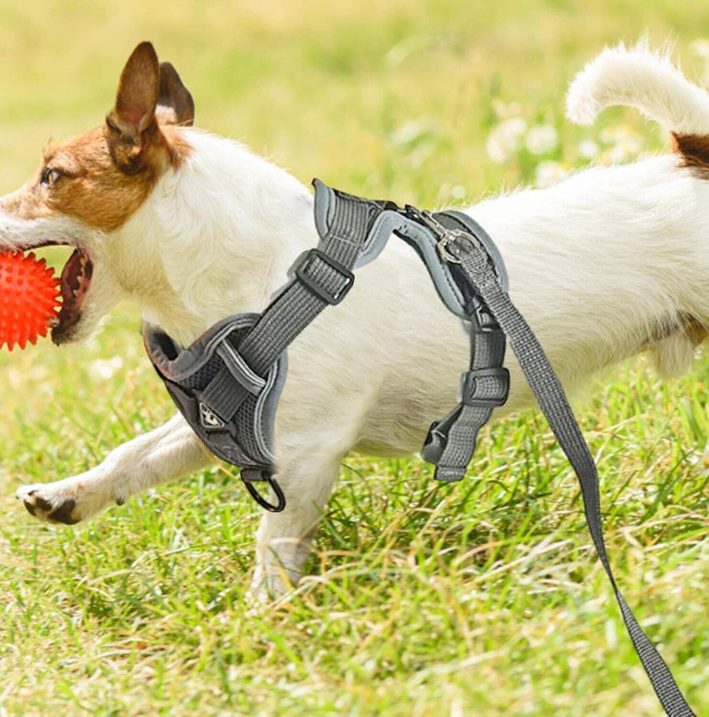 Harnais Petit Chien - DogHarnessVest™ - Gris