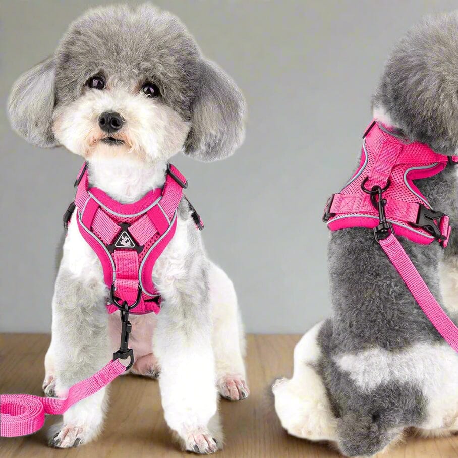 Harnais Petit Chien - DogHarnessVest™ - Rose