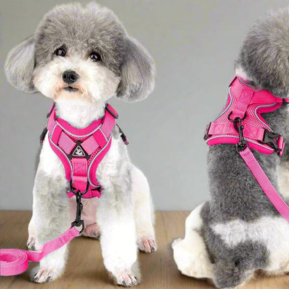 Harnais Petit Chien - DogHarnessVest™ - Rose