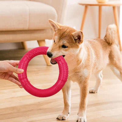 FRISBEE CHIEN - FetchBite™ - Rouge