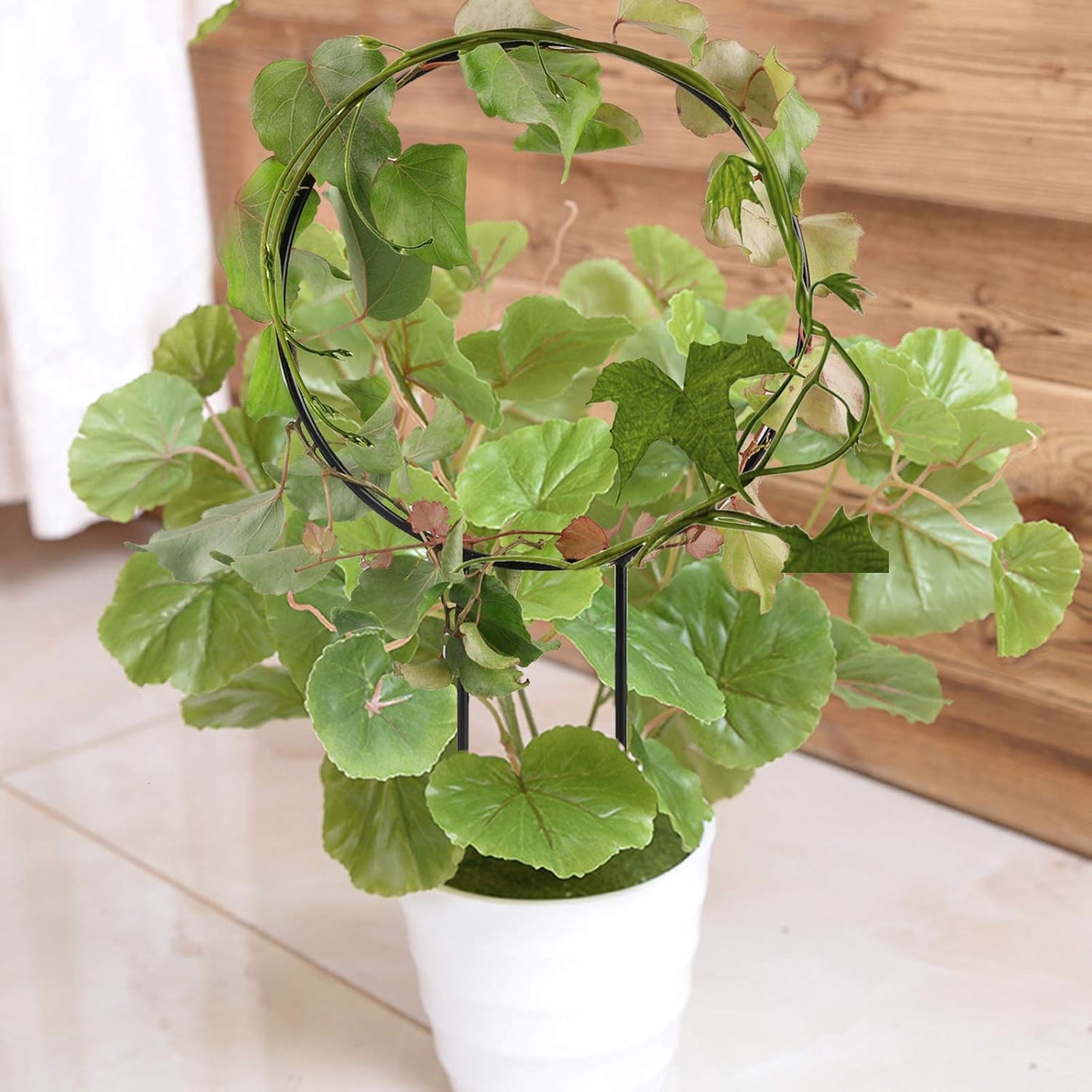 DECORATION JARDIN - NatureTrellis™ - Cercle
