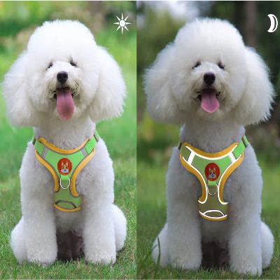 Harnais - PuppyTrek™ - Vert